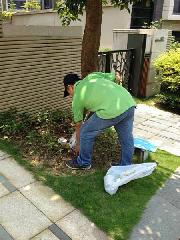 三水区地下通讯白蚁防治收费标准批发