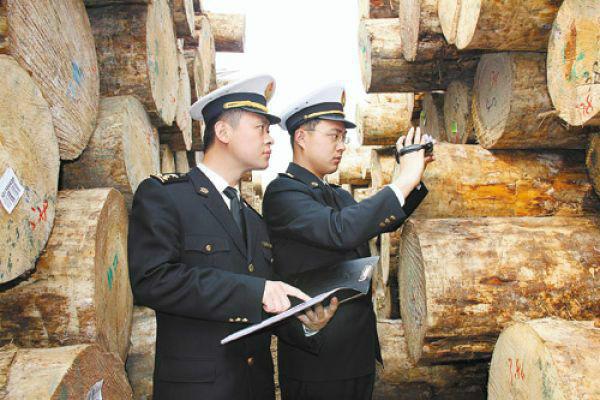 供应上海木材进口报关代理图片