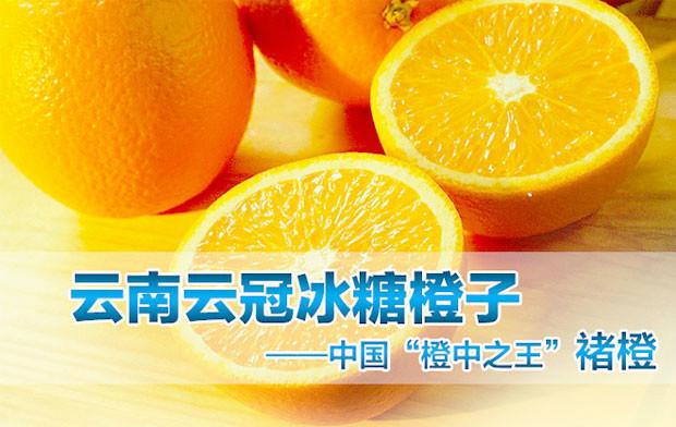 橙子报价、图片、行情_橙子最新价格_广州市