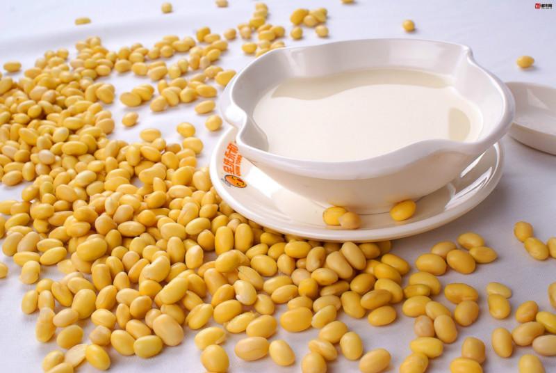 供应原味豆浆粉高蛋白营养健康