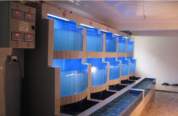 星级酒店海鲜鱼池订做制冷鱼池过滤批发