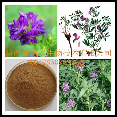 紫花苜蓿提取物 纯天然植物提取物批发