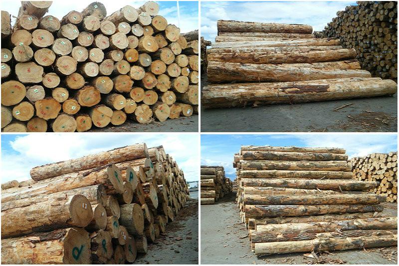 供应用于工地土建支模的落叶松方木木方