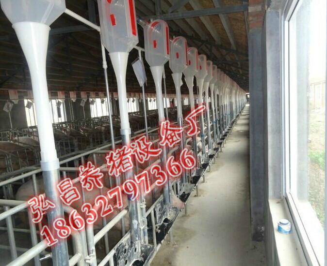 供应弘昌自动化料线厂家 猪场自动料线 自动上料系统