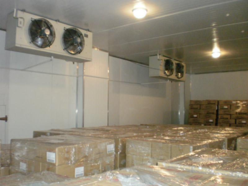水果气调保鲜冷库工程设计冷库安装、五万吨苹果气调库造价要多少