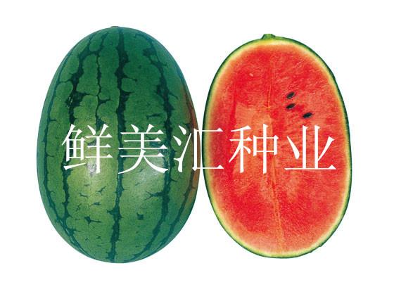 供应日本进口高品质西瓜种子——二太郎