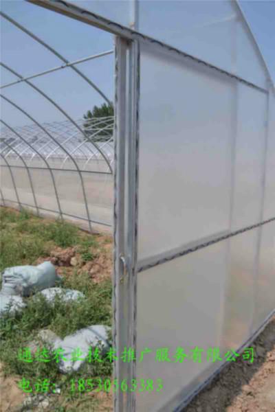 供应用于种植、养殖的无立柱单栋拱棚建造报价