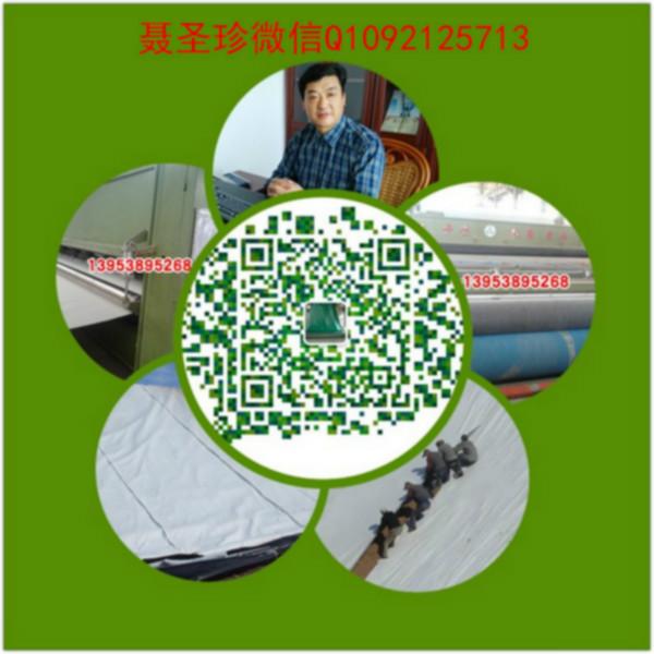 供应膨润土防水毯规范JG/T193-2006山东泰山金驰华易工程材料有限公司