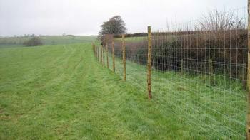 供应畜牧场隔离栅-养殖场围栏网