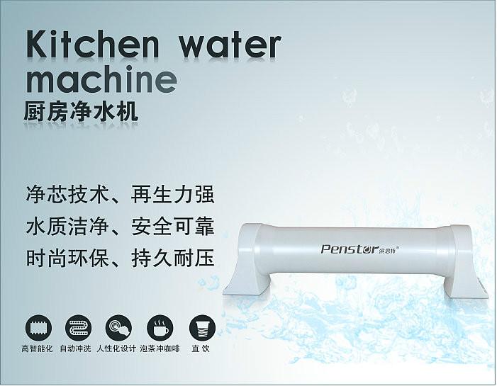高端进口品牌滨思特厨房净水机PST-A1图片