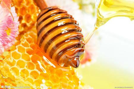 上海市葵花蜂蜜厂家鸿香源厂家供应葵花蜂蜜厂家鸿香源