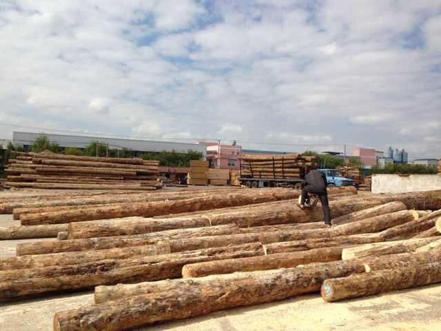 苏州木材市场批发