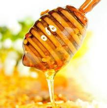 枣花蜂蜜厂家鸿香源供应枣花蜂蜜厂家鸿香源