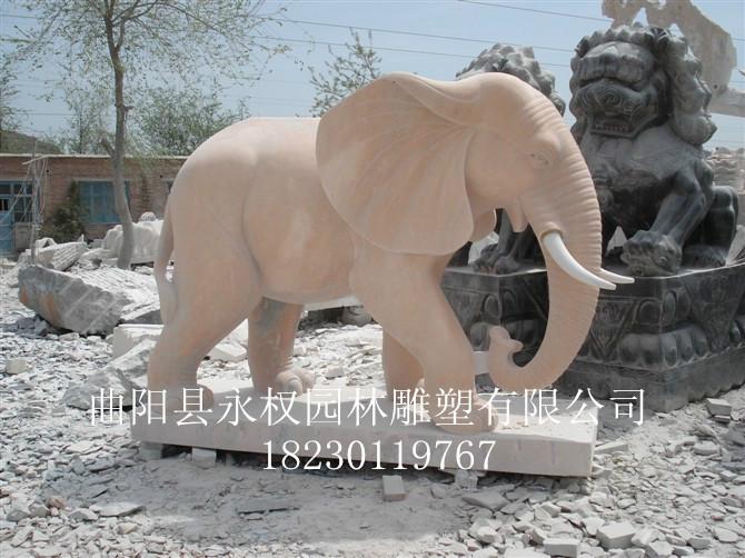 供应石雕大象雕刻，石雕大象雕刻设计图，河北石雕大象雕刻厂家