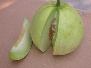 供应中原绿宝石香瓜种子