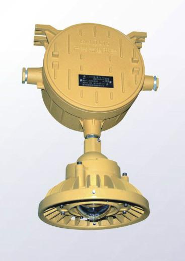 供应荣中电气(BAJ)52系列防爆应急灯LED防爆应急灯20W30WCT6防爆应急灯