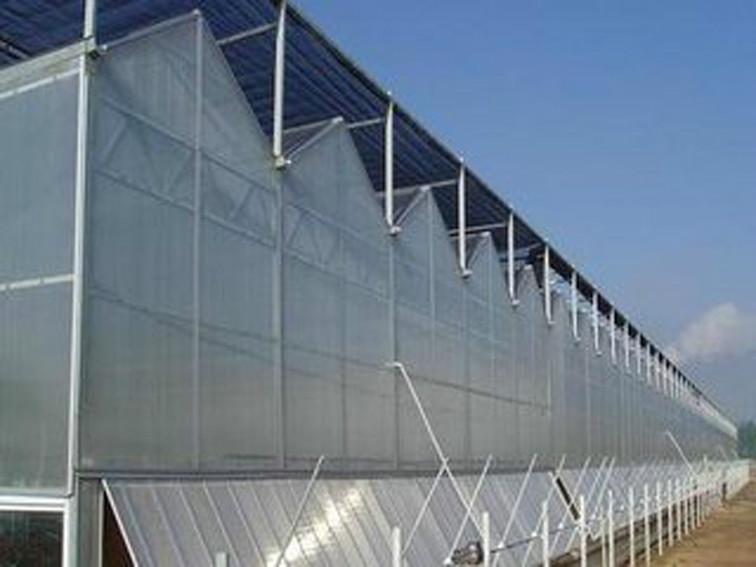 温室阳光板智能温室大棚建设温室阳光板智能温室大棚建设15081063931
