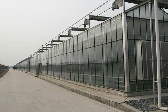 邯郸市湖南玻璃温室大棚建设厂家供应 湖南玻璃温室大棚 湖南玻璃温室大棚建设
