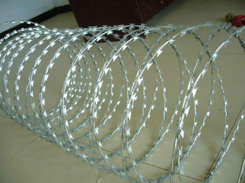供应刺绳围栏网、监狱护栏网生产厂家。图片