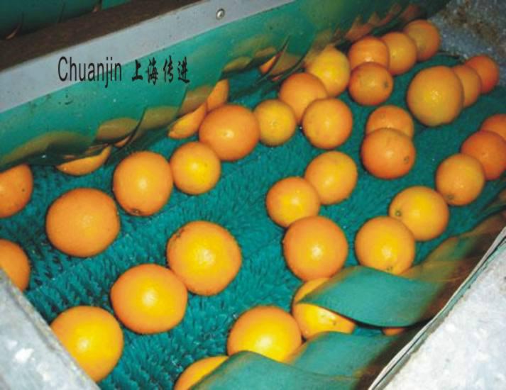 供应果蔬汁和罐头厂专用果蔬清洗机设备