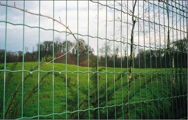 供应养殖野鸡用铁丝围网养殖隔离防护网养殖围栏网玛亿荷兰网