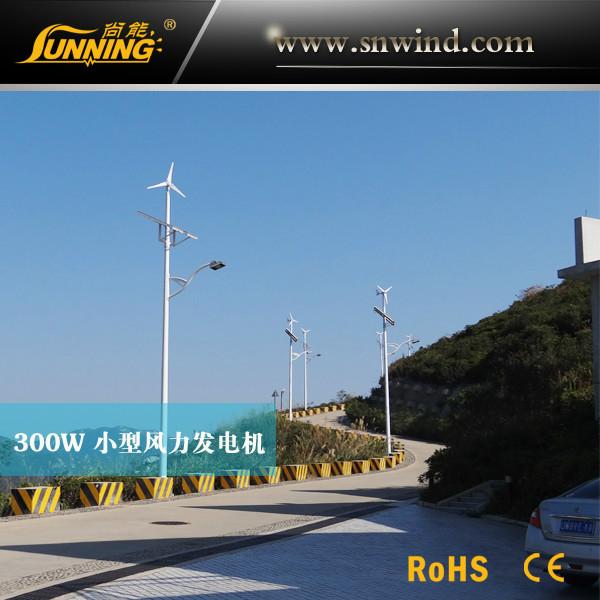 供应水平轴小型风力发电机300W_风力发电系统_24V 300W_永磁电机