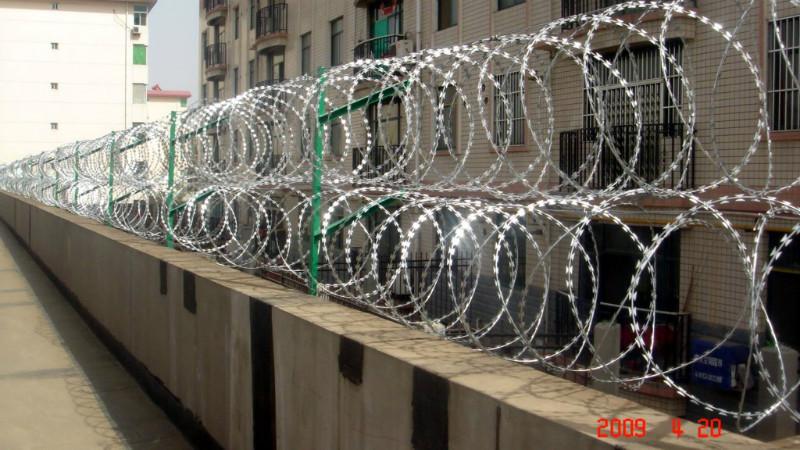 供应刺丝护栏网、刺绳围栏网、河北优质护栏网厂家。图片