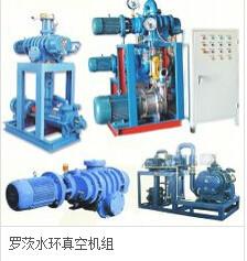 供应广东深圳惠州广州东莞罗茨增压泵ZJP-600