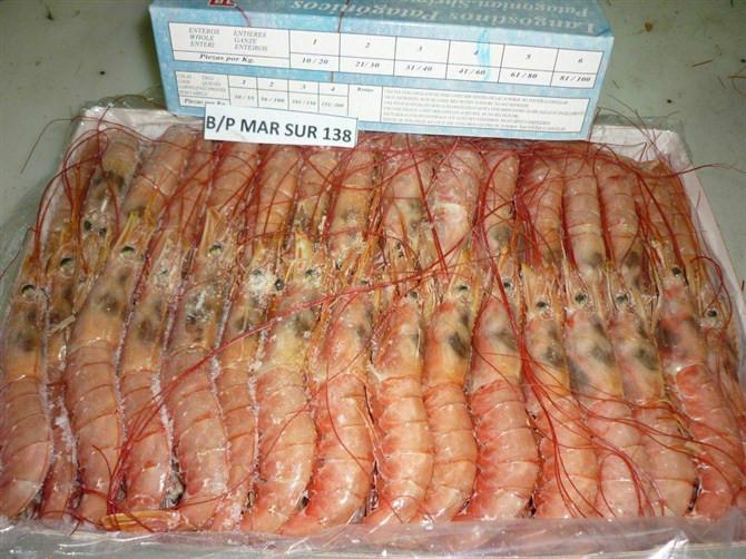 供应阿根廷红虾