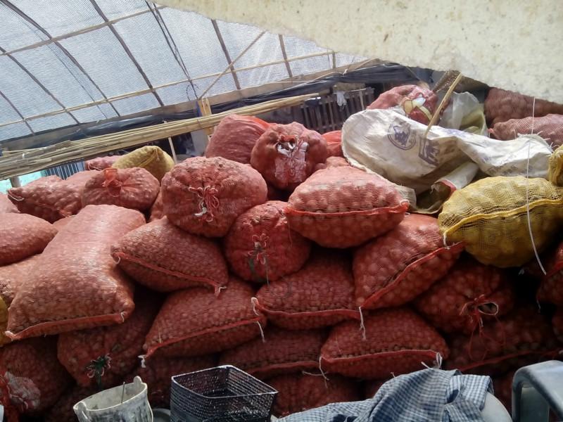 供应批发湄潭县魔芋种子，二代种子5800元一吨，一代种10000元一吨