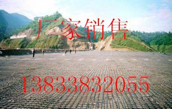 供应淮南滁州马鞍山芜湖土工格栅厂家销售13833832055