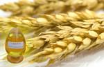 供应优质小麦胚芽油