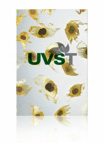 供应外墙装饰板UVST植物纹理装饰板透光 UVST外墙装饰板植物纹理装饰板