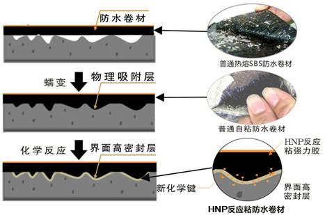 广州市CPS强力交叉膜自粘防水卷材厂家供应CPS强力交叉膜自粘防水卷材