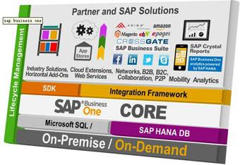 供应企业erp系统SAP  Business One首选MTC