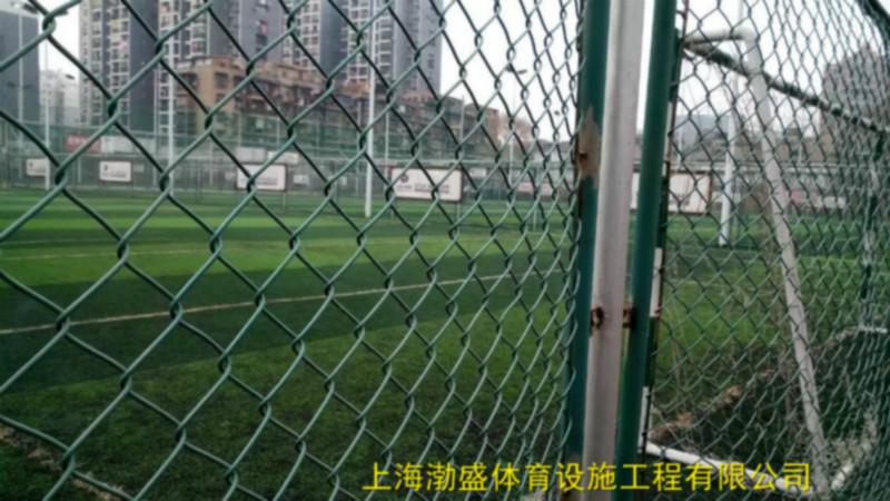 上海市上海渤盛体育足球场人造草厂家供应上海渤盛体育足球场人造草