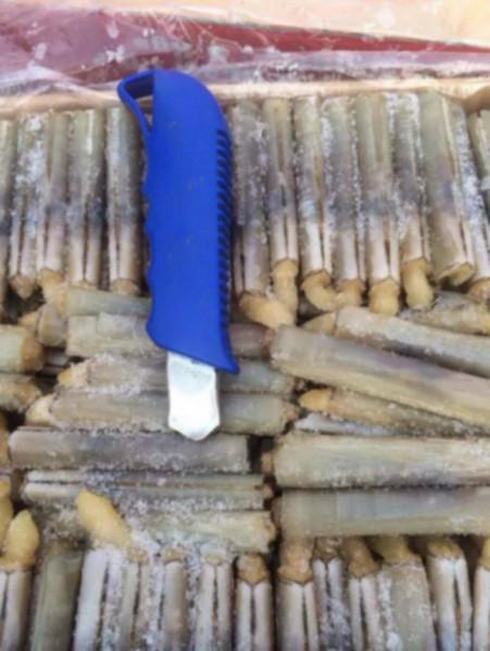 进口巴基斯坦冷冻小竹蛏供应进口巴基斯坦冷冻小竹蛏