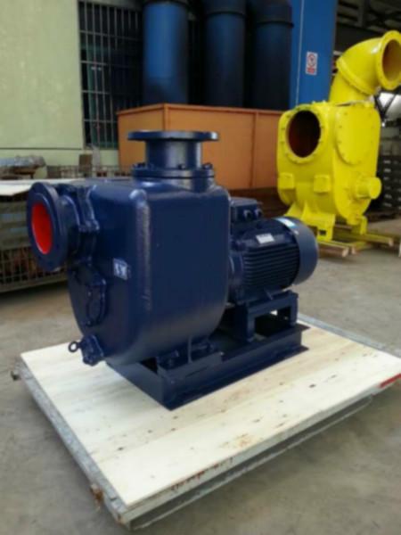 供应ZWL50-15-30直联式自吸排污泵 防爆无堵塞排污泵厂家 水泵报价 参数