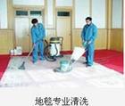 供应深圳专业地毯清洗地毯保养