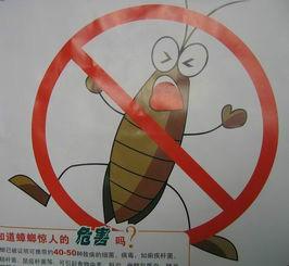 供应南京兴隆灭蟑螂，南京兴隆灭蟑螂公司，南京兴隆灭蟑螂服务