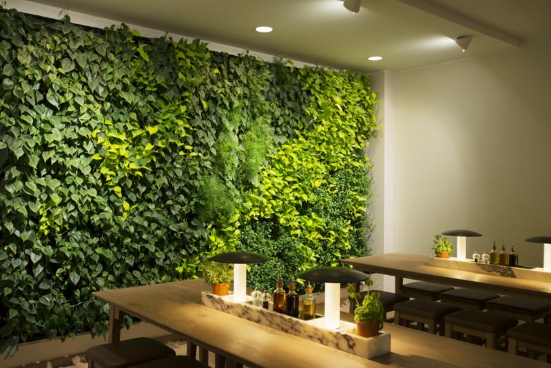 南宁市餐饮植物屏风植物绿墙植物墙隔断厂家
