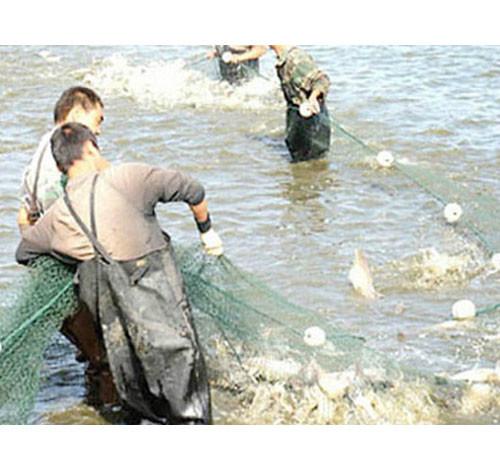 渔业捕捞网抬鱼网灯光诱捕抬网批发批发