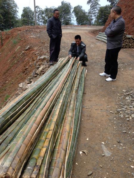4米竹片加工厂 4米竹片生产基地  湖南4米竹片加工厂