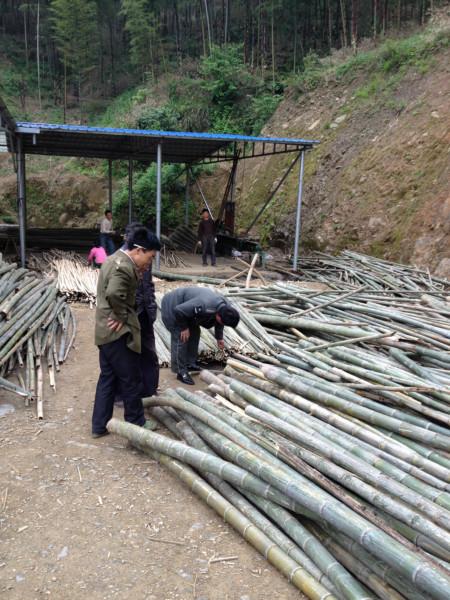 4米竹片加工厂 4米竹片生产基地  湖南4米竹片加工厂