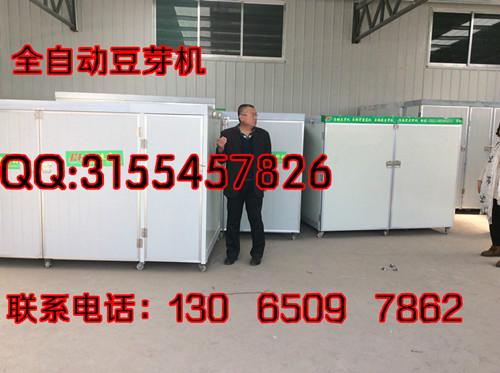 供应北京生产豆芽的机器全自动豆芽机器
