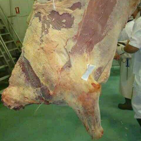 供应进口牛肉好不好澳洲进口牛肉怎么样