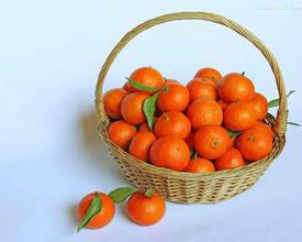 【橘子桔子】橘子桔子价格_橘子桔子批发市场