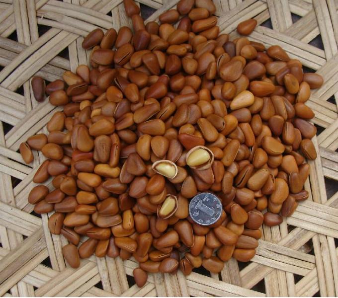 供应咖啡豆产地及分类上海食品进口清关