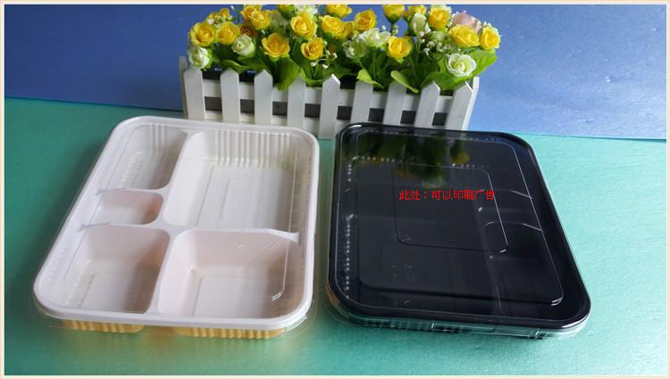 供应pp塑料餐盒五格塑料餐盒商务餐盒