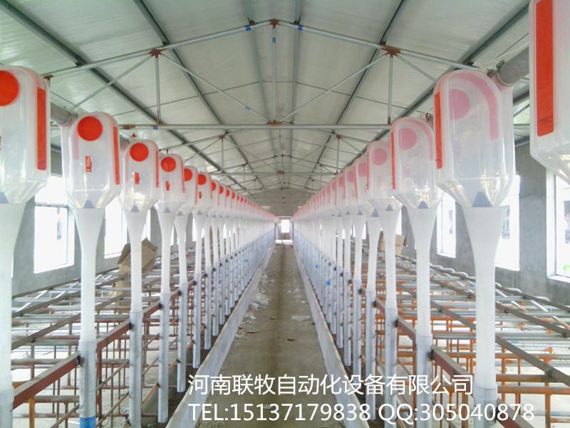 郑州市猪场自动化供料系统厂家